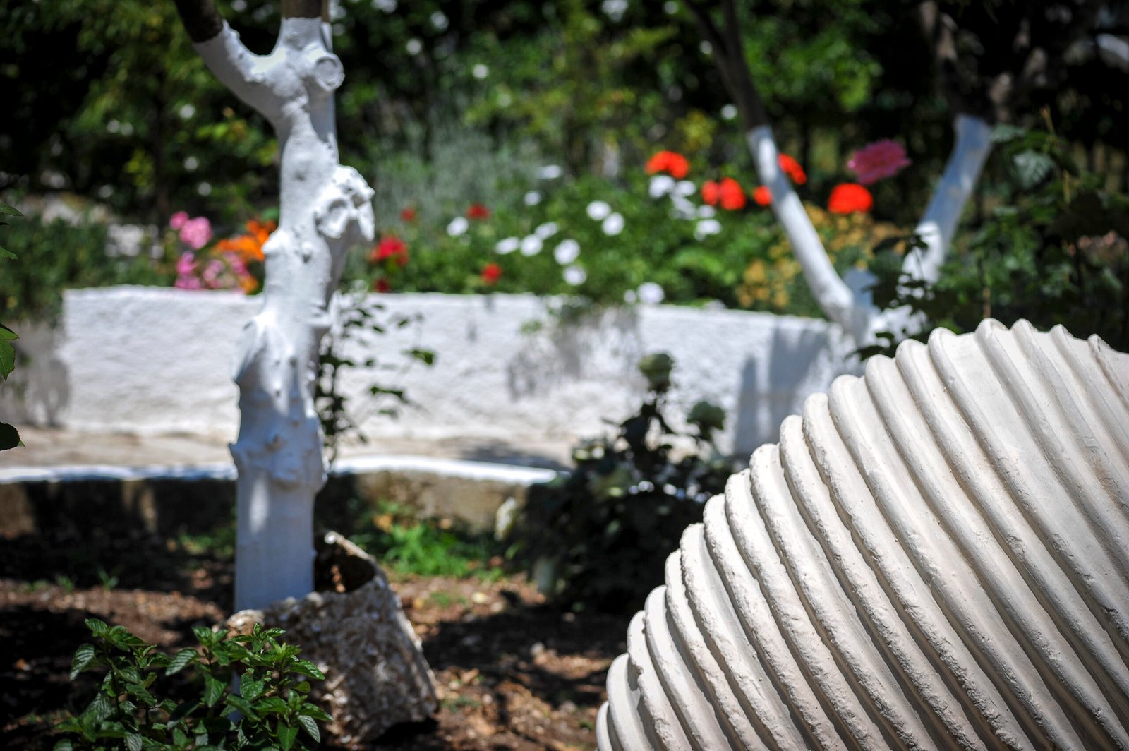 yorgos-studios-lakka-paxos-39